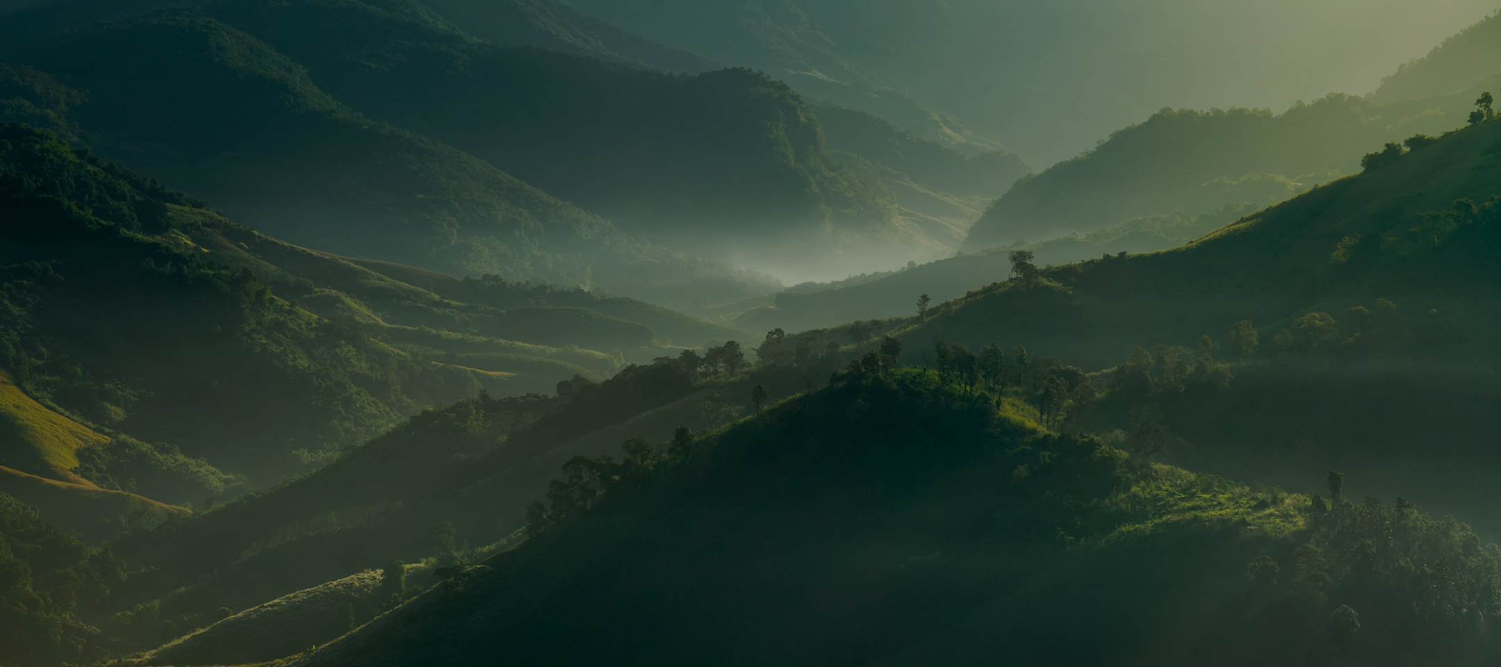 Smart Logistic & Environmentally Friendly